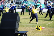 Enlarge photo 384