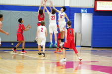 Enlarge photo 84