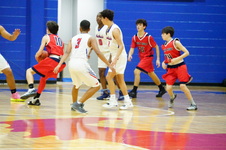 Enlarge photo 214