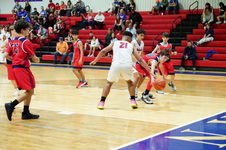 Enlarge photo 226