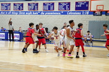 Enlarge photo 469