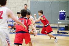 Enlarge photo 478