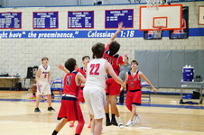Enlarge photo 481