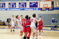 Enlarge photo 482