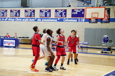 Enlarge photo 516