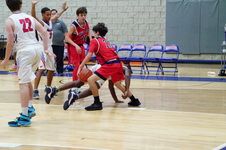 Enlarge photo 524