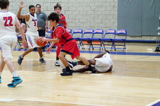 Enlarge photo 523