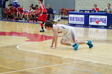 Enlarge photo 528