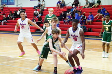Enlarge photo 154