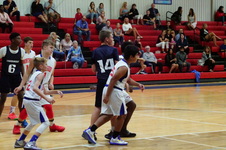 Enlarge photo 133