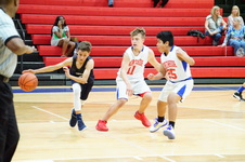 Enlarge photo 392