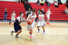 Enlarge photo 427