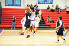 Enlarge photo 433