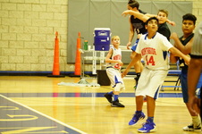 Enlarge photo 156