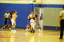 Enlarge photo 261