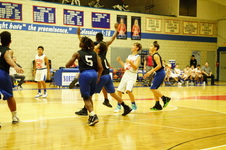 Enlarge photo 313