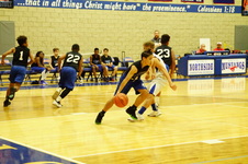 Enlarge photo 339