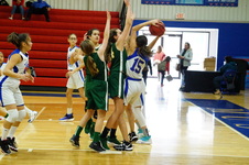 Enlarge photo 121