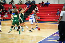 Enlarge photo 133