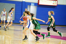 Enlarge photo 183
