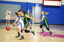 Enlarge photo 184
