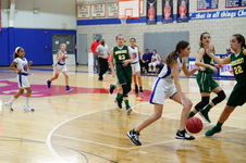 Enlarge photo 229