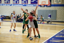 Enlarge photo 233