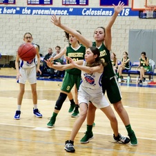 Enlarge photo 232