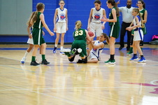 Enlarge photo 237