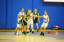Enlarge photo 246