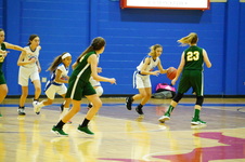 Enlarge photo 249