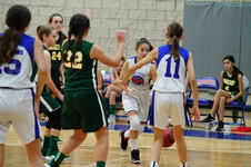 Enlarge photo 251