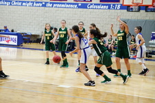 Enlarge photo 256