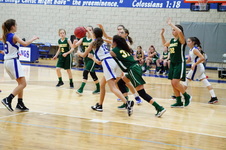 Enlarge photo 257