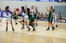 Enlarge photo 259