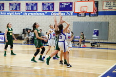 Enlarge photo 261