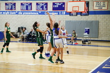 Enlarge photo 263