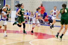 Enlarge photo 288