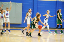Enlarge photo 315