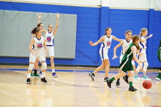 Enlarge photo 317