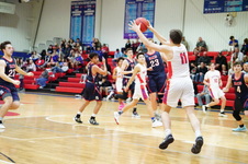Enlarge photo 382