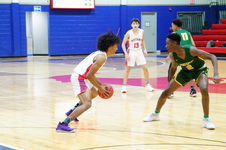 Enlarge photo 62
