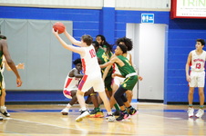 Enlarge photo 86