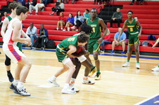 Enlarge photo 135