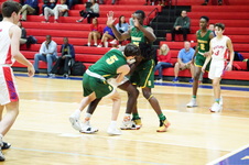 Enlarge photo 140