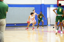 Enlarge photo 215