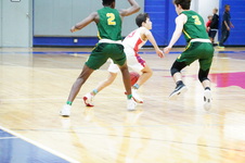 Enlarge photo 223