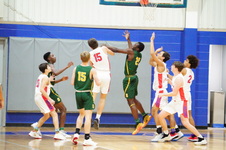 Enlarge photo 248