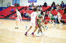 Enlarge photo 291