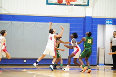 Enlarge photo 392